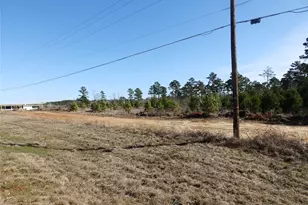 20175 Hwy 155, Flint, TX 75762 - Photo 24