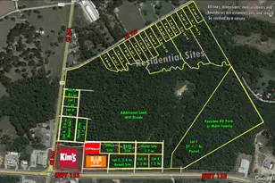 20175 Hwy 155, Flint, TX 75762 - Photo 2