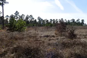 20175 Hwy 155, Flint, TX 75762 - Photo 28