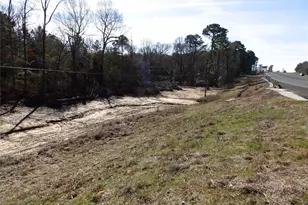 20175 Hwy 155, Flint, TX 75762 - Photo 18