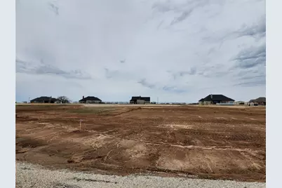 116 Trumpet Court, Paradise, TX 76073 - Photo 4