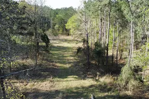 000 County Road 434, Lindale, TX 75771 - Photo 1