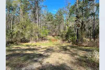 000 County Road 434, Lindale, TX 75771 - Photo 10