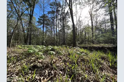 000 County Road 434, Lindale, TX 75771 - Photo 2