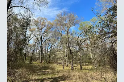 000 County Road 434, Lindale, TX 75771 - Photo 6