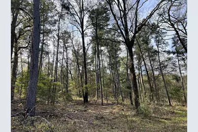 000 County Road 434, Lindale, TX 75771 - Photo 12