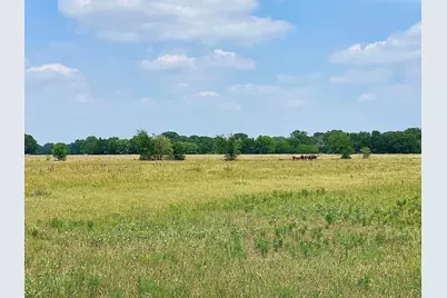 12053 S Hwy 34, Scurry, TX 75158 - Photo 8