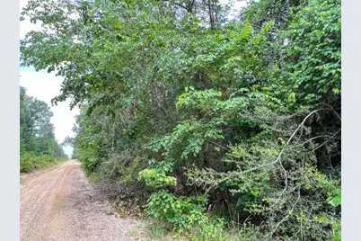 013 Old Arco Rd, Silsbee, TX 77656 - Photo 4