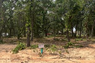 108 Peace Lily Wy, Tolar, TX 76476 - Photo 1