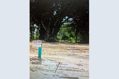 453 Peace Lily Way, Tolar, TX 76476 - Photo 1