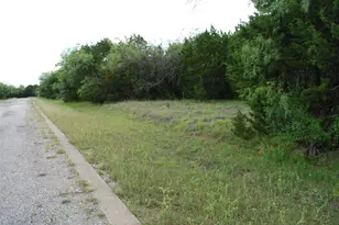 23067 Oak Ridge Drive, Whitney, TX 76692 - Photo 1