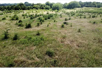 Lot 5 Cr 1400, Ravenna, TX 75476 - Photo 4