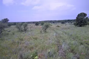 Tr 3 4 Wire, Bowie, TX 76230 - Photo 1