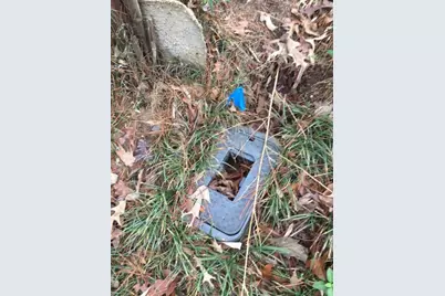 000 Forest Hill Drive, Frankston, TX 75763 - Photo 4