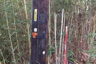 000 Forest Hill Dr, Frankston, TX 75763 - Photo 6