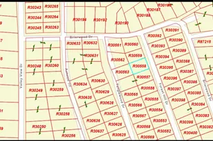 000 Forest Hill Dr, Frankston, TX 75763 - Photo 2