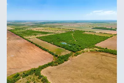 981 County Road 177, Lawn, TX 79530 - Photo 4