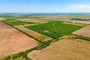 981 Co Rd 177, Lawn, TX 79530 - Photo 4