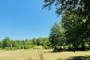 13701 N US Highway 79 Highway, Palestine, TX 75801 - Photo 2