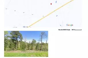 13701 N US Highway 79 Highway, Palestine, TX 75801 - Photo 4