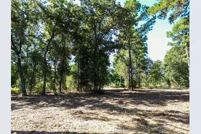 3146 Shadow Pine Drive, LaRue, TX 75770 - Photo 10