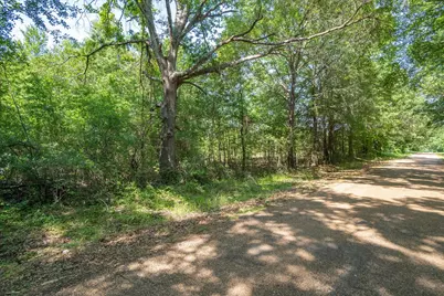 Tbd Vz Cr 4714 (Tract 13) Road, Ben Wheeler, TX 75754 - Photo 8