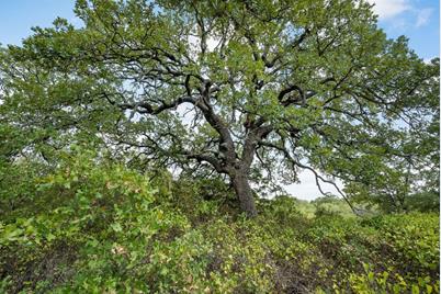 Lot 13 Double B Ranch Road S, Perrin, TX 76486 - Photo 8