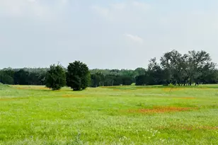 320 S Waterbuck Wy, Lampasas, TX 76550 - Photo 14