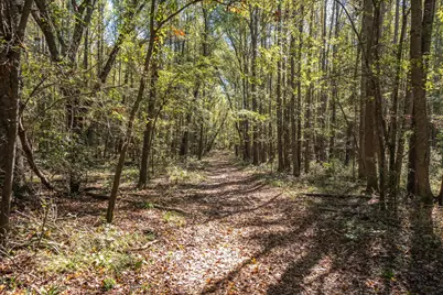 3672 Fm 1861, Athens, TX 75752 - Photo 36