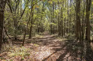 3672 Fm 1861, Athens, TX 75752 - Photo 36