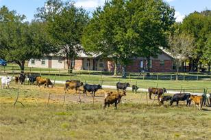 15 Co Rd 1227, Lake Creek, TX 75450 - Photo 4