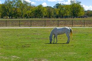 15 Co Rd 1227, Lake Creek, TX 75450 - Photo 36