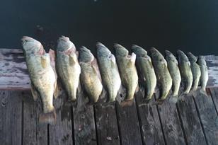 5646 N U.S. Hwy 69, Celeste, TX 75423 - Photo 6