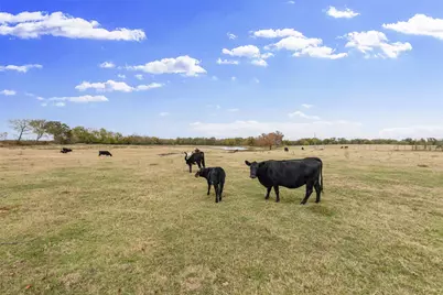 1436 County Road 2320, Como, TX 75431 - Photo 38