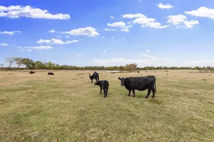 1436 Co Rd 2320, Como, TX 75431 - Photo 38