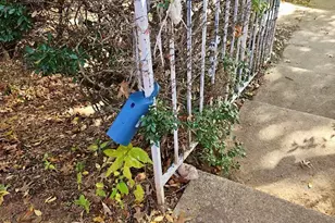 10203 Oak Branch Ln, Dallas, TX 75227 - Photo 10