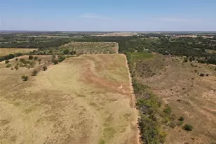 1410 Co Rd 239, Rising Star, TX 76471 - Photo 6