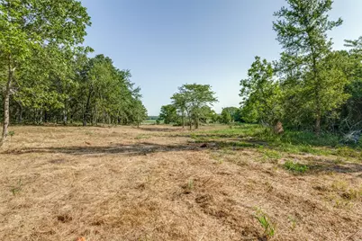 6650 State Hwy 56 Highway, Bells, TX 75414 - Photo 4