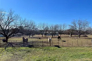 3208 N Roadrunner Ct, Granbury, TX 76049 - Photo 16