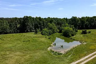 10142 FM773, Murchison, TX 75778 - Photo 4