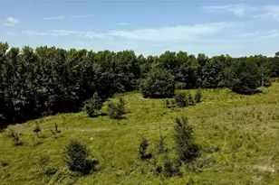 10142 FM773, Murchison, TX 75778 - Photo 22