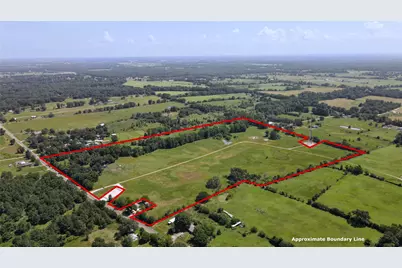 10142 Fm 773, Murchison, TX 75778 - Photo 2