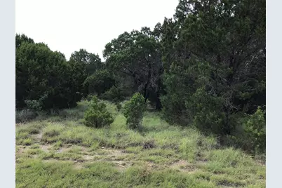 43020 Whisperwood Drive, Whitney, TX 76692 - Photo 2