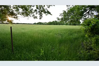 Tbd Fm 1752 Road, Whitewright, TX 75491 - Photo 10