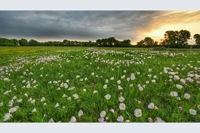 Tbd Fm 1752 Road, Whitewright, TX 75491 - Photo 2