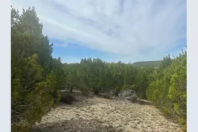 1241 Balcones Lane, Graford, TX 76449 - Photo 8