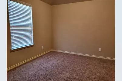 333 Cave River Drive, Murphy, TX 75094 - Photo 26