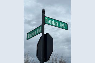 6289 Blackjack Oak Court - Photo 1