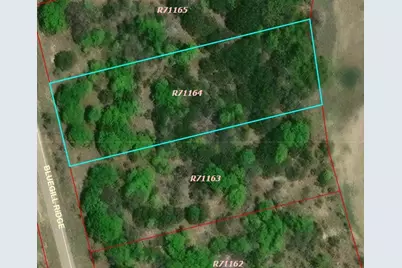 1015 Bluegill Ridge, Bluff Dale, TX 76433 - Photo 4