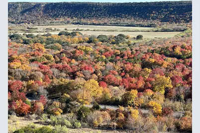 120 Oak Tree Drive, Graford, TX 76449 - Photo 6